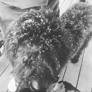 Meet your Posher, Blaine